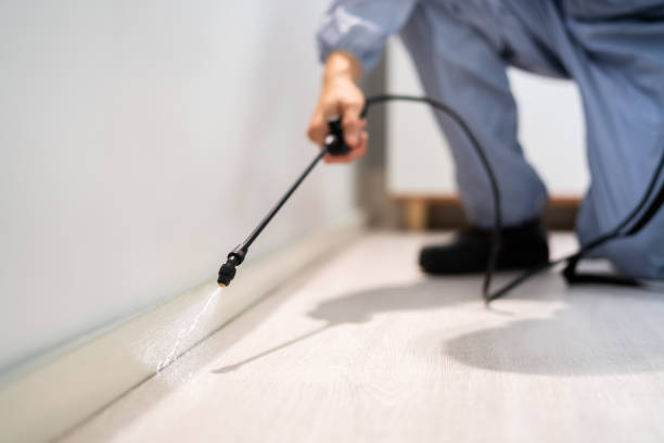 Certified termite inspector examining foundation in Lonsdale